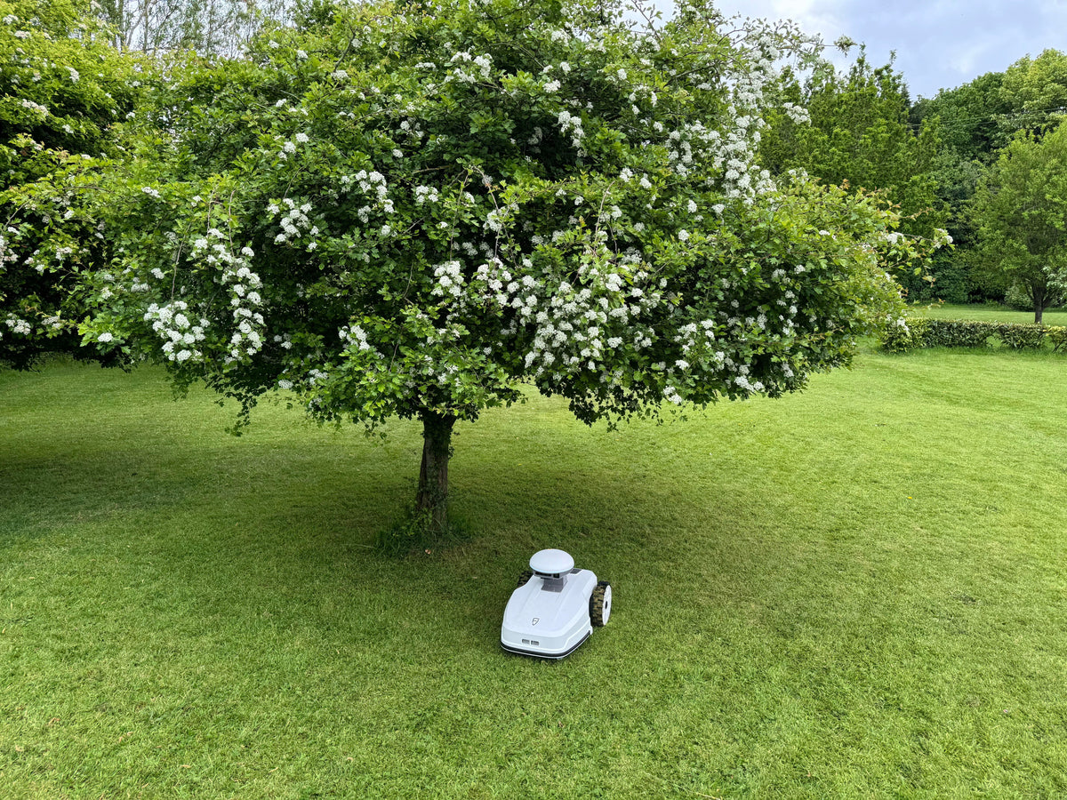7 Tips on Maintaining Electric Lawn Mowers
