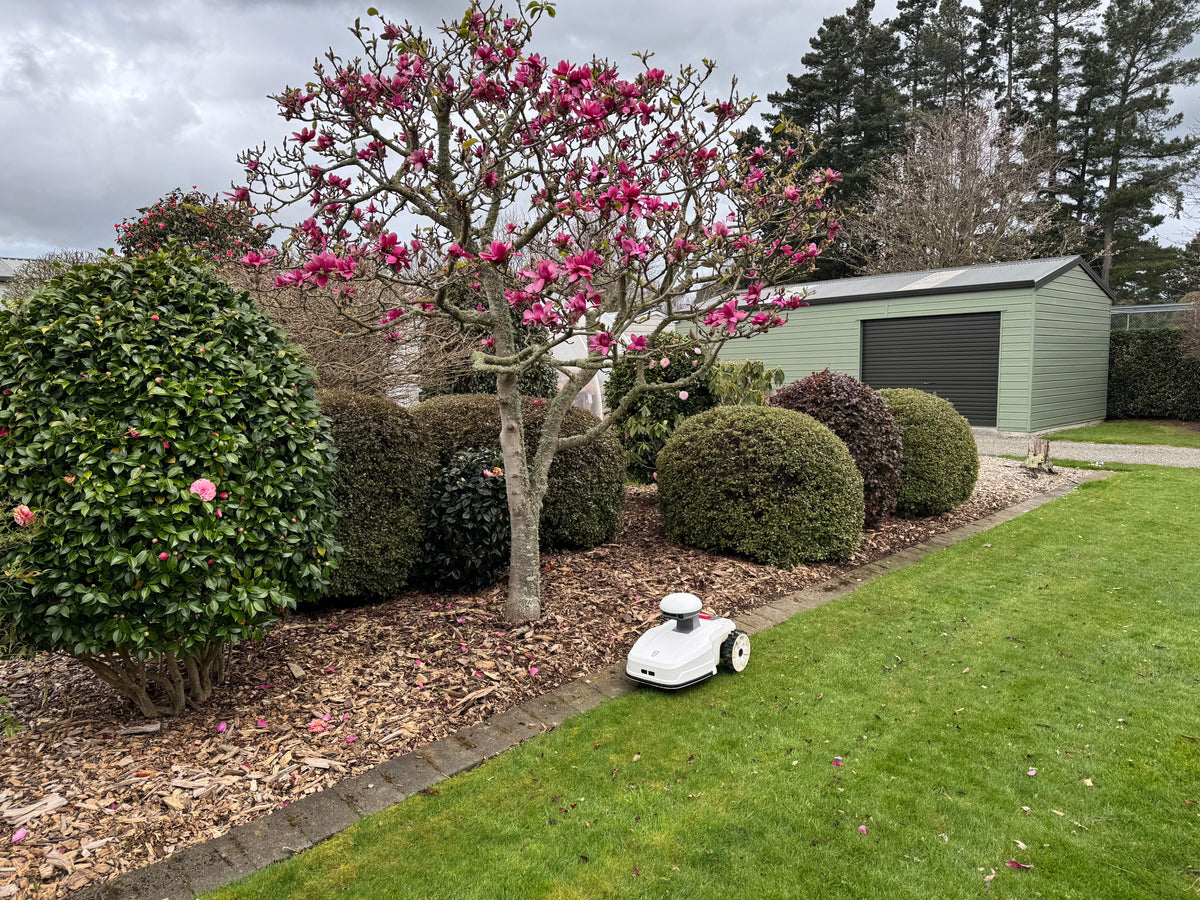 The Pros and Cons of Electric Lawn Mowers